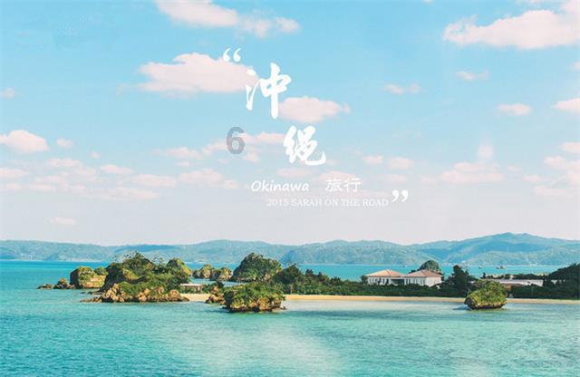 生菜新品种 “沪芊”育成