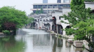 米乐米可森林大冒险
